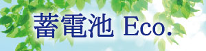 蓄電池